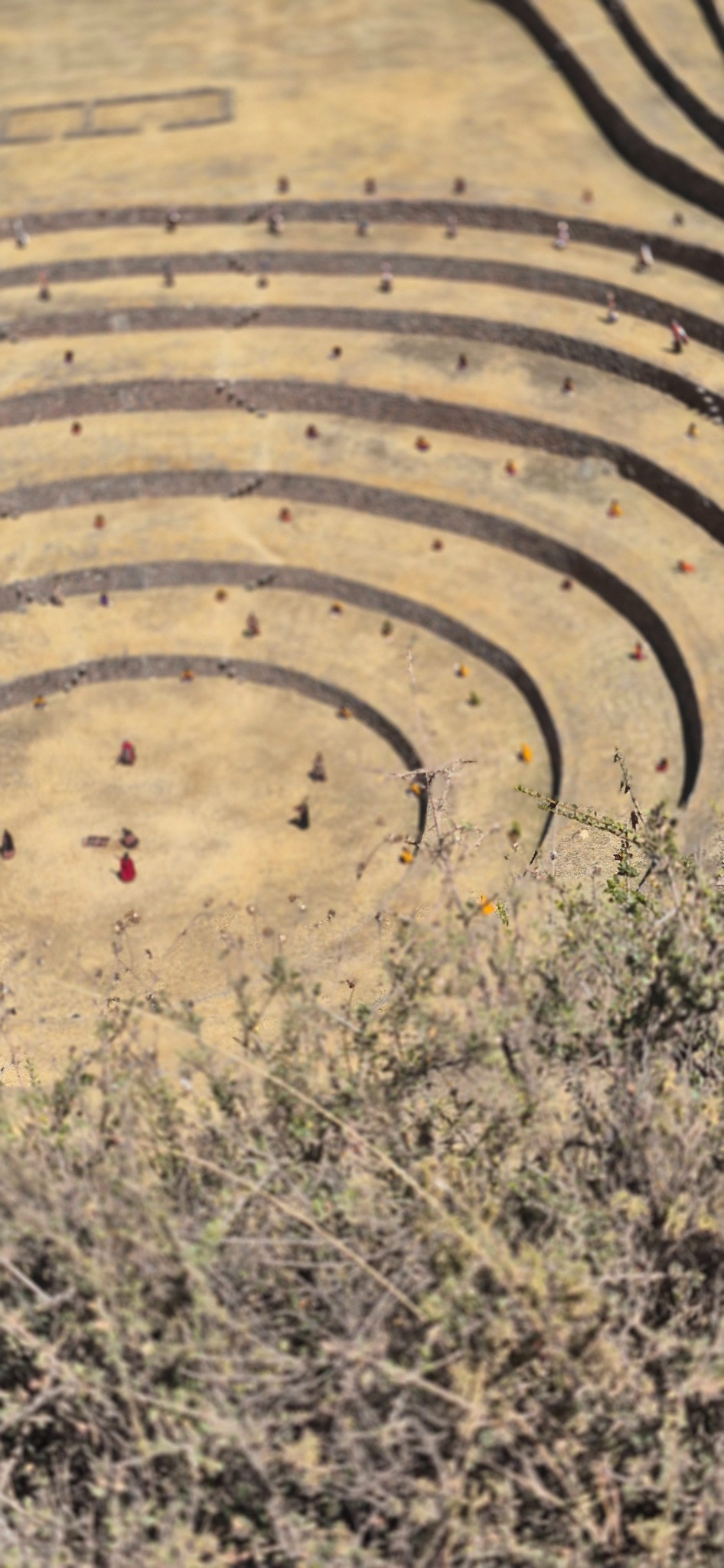 Annual ritual at Moray