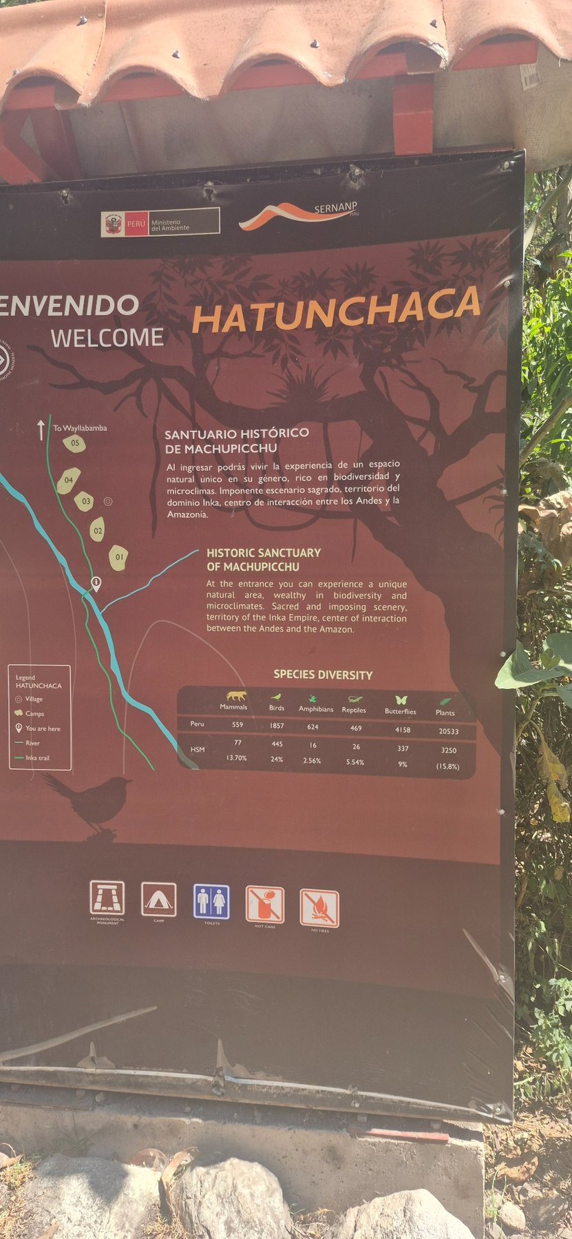 Inca Trail · Day 2