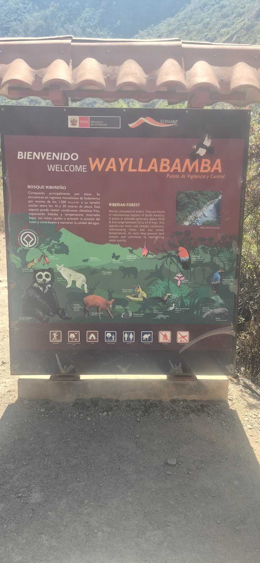 Inca Trail · Day 2
