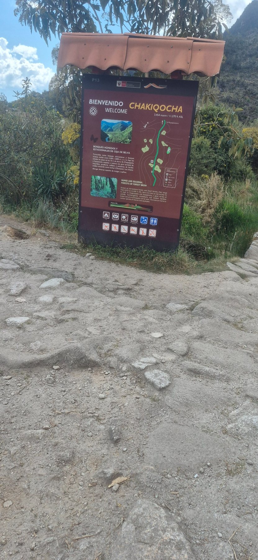 Inca Trail · Day 3 · Dead Woman’s Pass
