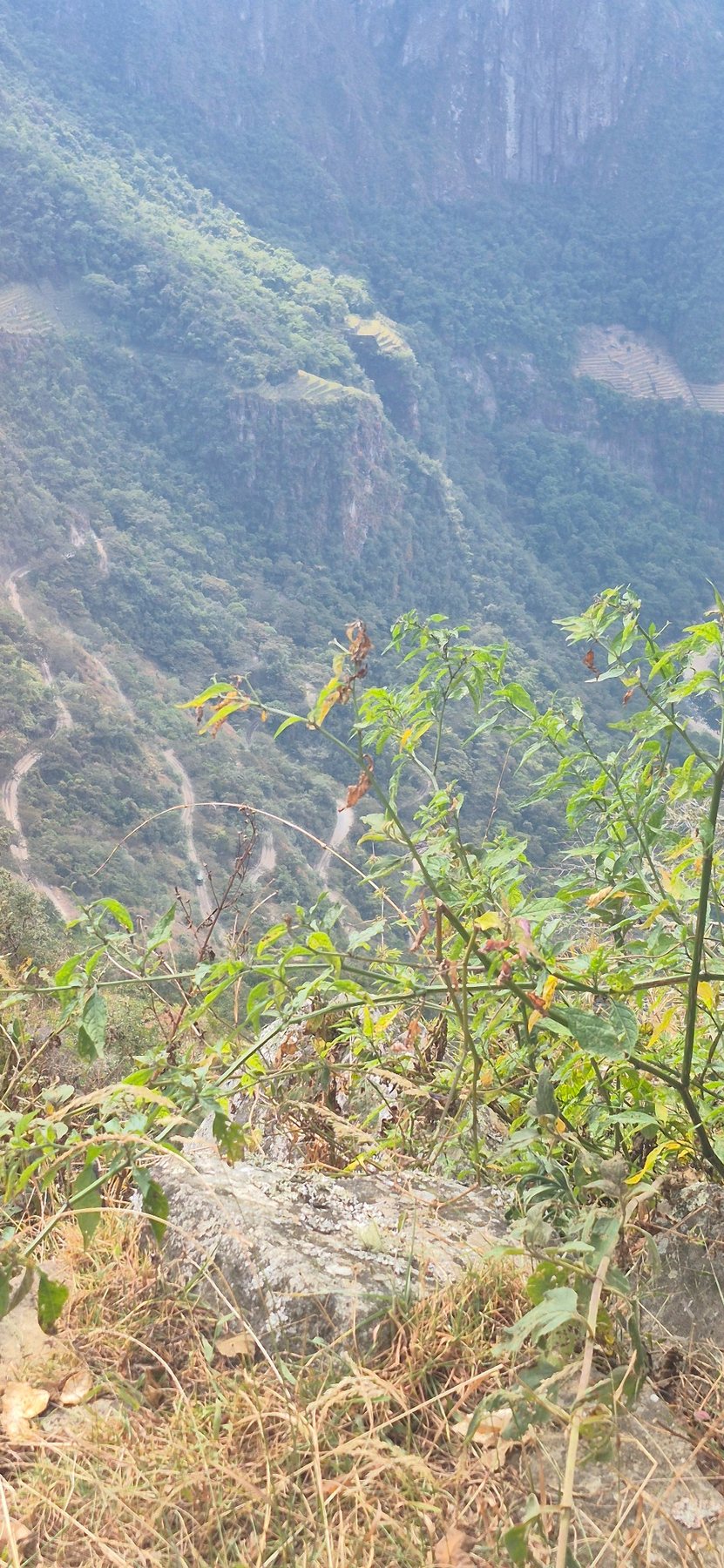 Inca Trail · Day 4 · The road to Machu Picchu