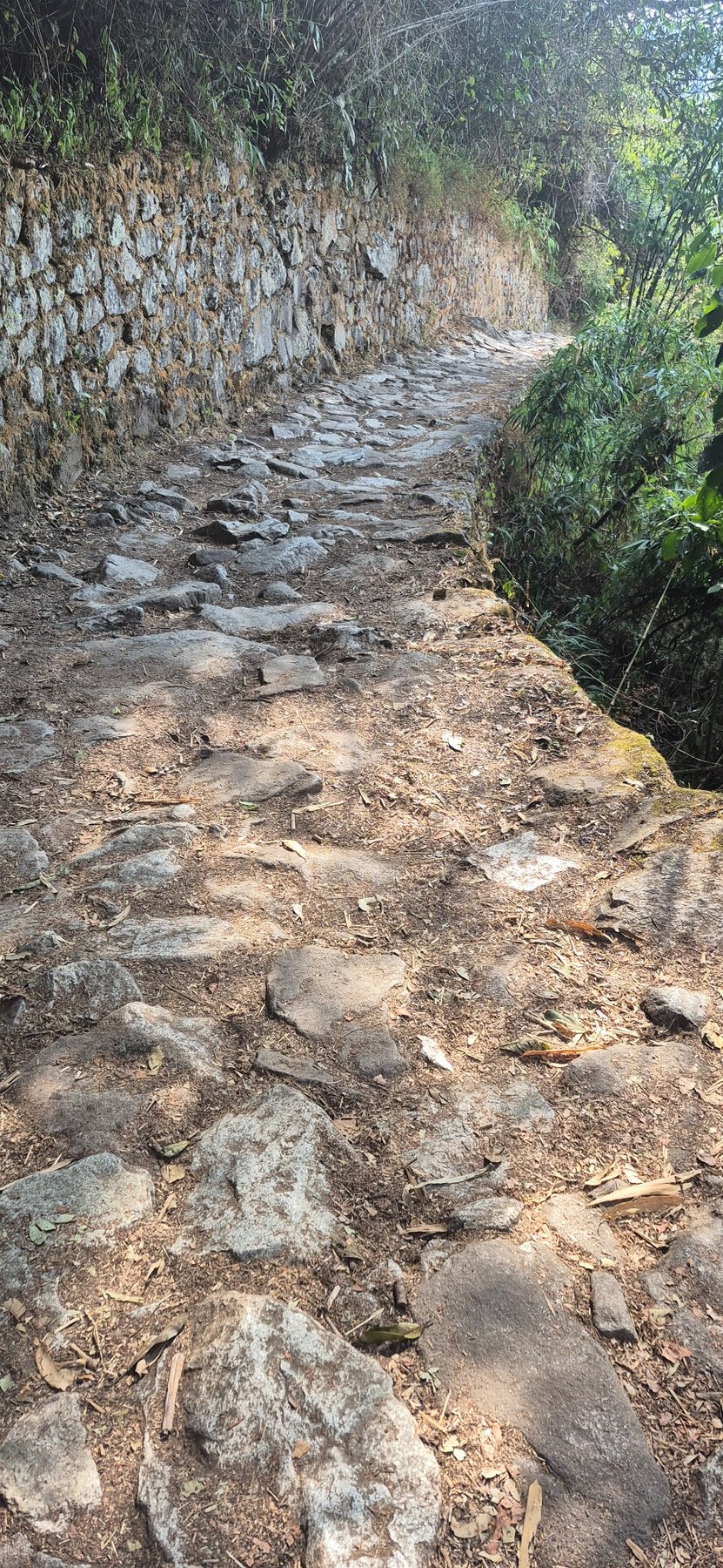 Inca Trail · Day 4 · The road to Machu Picchu