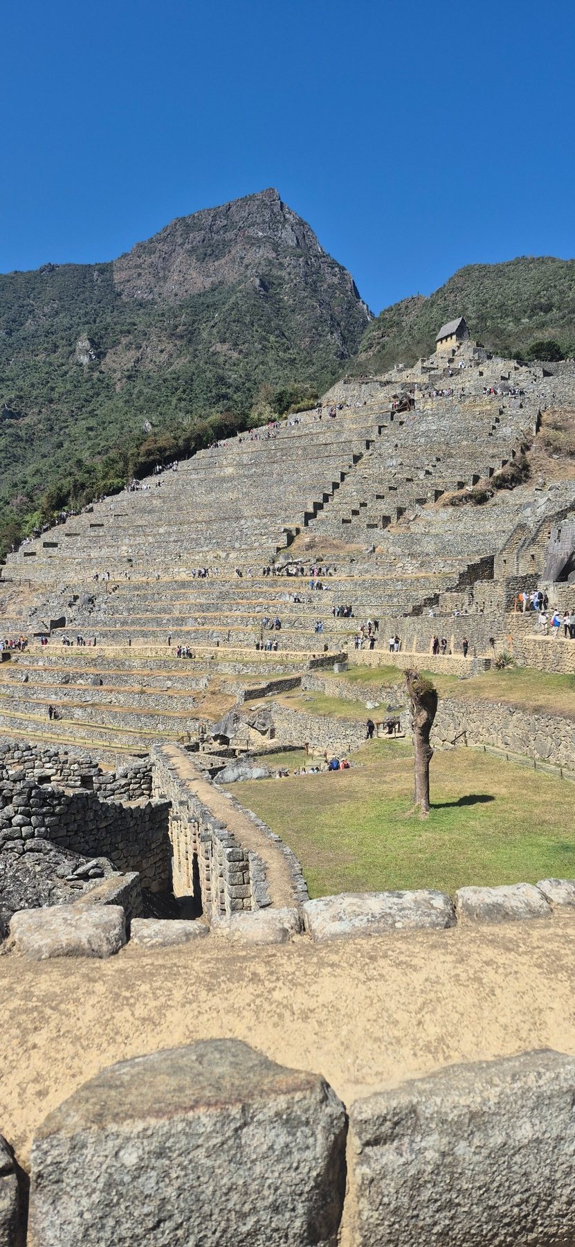 Machu Picchu & Cusco